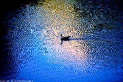 123-0632-HR-Edit-9X13