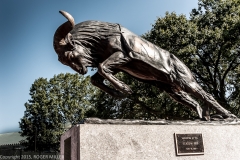 143-DSC_6790-Edit-Edit