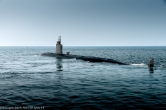 52-DSC_9492-Edit-NEW