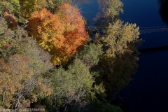 DSC_1075-T-HR