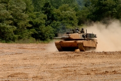 85_DSC4530-M1A1-H